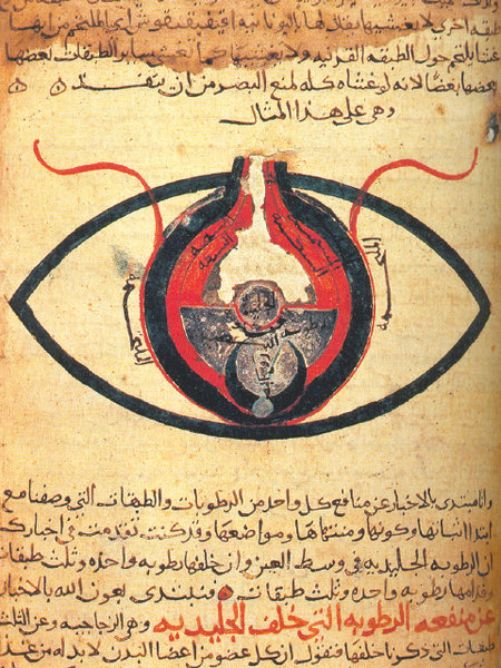Anatomie de l'œil, écrit par al-Mutadibih en 1200
